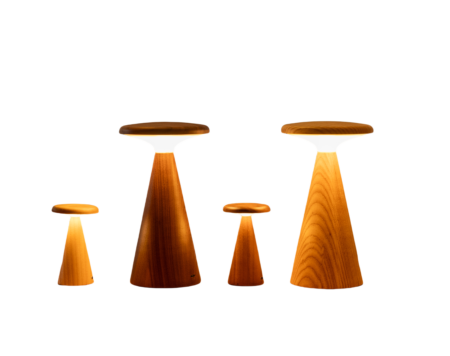 <p><strong>GINGKO Дървена смарт лампа &ldquo;Sylva&ldquo; - размер M - бял ясен</strong><br /><strong>&bull; Материал</strong><span>: бял ясен, акрил</span><br /><strong>&bull; SMART TOUCH:&nbsp;</strong><span>функция за докосване на превключвателя за включване и изключване на светлината и регулиране на настройката на светлината</span><br /><strong>&bull; Литиево-йонна батерия</strong><span>&nbsp;800mAh</span><br /><strong>&bull; Време за зареждане:</strong><span>&nbsp;4 часа</span><br /><strong>&bull; Време за работа:</strong><span>&nbsp;15 часа</span><br /><strong>&bull; Светлина:&nbsp;</strong><span>LED, топла и RGB</span><br /><strong>&bull; Размери:</strong><span>&nbsp;6 x 14 см</span><br /><strong>&bull; Тегло:</strong><span>&nbsp;70 гр</span><br /><strong>&bull; Цветна температура:</strong><span>&nbsp;2900K~3100K</span><br /><strong>&bull;&nbsp;Източник на светлина:</strong><span>&nbsp;1,6W<br /><strong>Производител: GINGKO DESIGN/ Англия</strong></span></p><br />Марка: Gingko Design <br />Модел: Gingko G056M-AH<br />Доставка: 2-4 работни дни<br />Гаранция: 2 години