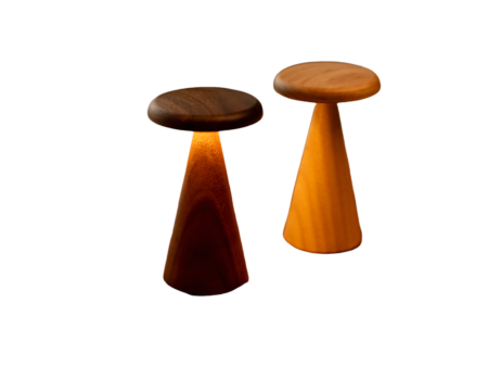 <p><strong>GINGKO Дървена смарт лампа &ldquo;Sylva&ldquo; - размер M - бял ясен</strong><br /><strong>&bull; Материал</strong><span>: бял ясен, акрил</span><br /><strong>&bull; SMART TOUCH:&nbsp;</strong><span>функция за докосване на превключвателя за включване и изключване на светлината и регулиране на настройката на светлината</span><br /><strong>&bull; Литиево-йонна батерия</strong><span>&nbsp;800mAh</span><br /><strong>&bull; Време за зареждане:</strong><span>&nbsp;4 часа</span><br /><strong>&bull; Време за работа:</strong><span>&nbsp;15 часа</span><br /><strong>&bull; Светлина:&nbsp;</strong><span>LED, топла и RGB</span><br /><strong>&bull; Размери:</strong><span>&nbsp;6 x 14 см</span><br /><strong>&bull; Тегло:</strong><span>&nbsp;70 гр</span><br /><strong>&bull; Цветна температура:</strong><span>&nbsp;2900K~3100K</span><br /><strong>&bull;&nbsp;Източник на светлина:</strong><span>&nbsp;1,6W<br /><strong>Производител: GINGKO DESIGN/ Англия</strong></span></p><br />Марка: Gingko Design <br />Модел: Gingko G056M-AH<br />Доставка: 2-4 работни дни<br />Гаранция: 2 години