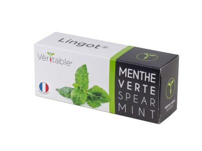 VERITABLE Lingot® Spearmint - Сладка Мента