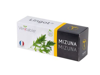 VERITABLE Lingot® Mizuna Organic - Японска салата Мизуна
