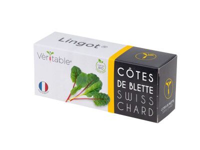 VERITABLE Lingot® Swiss Chard Organic - Манголд